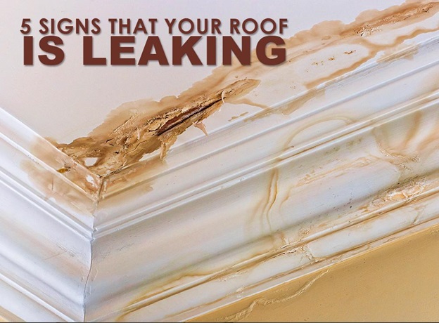 5 Signs That Your Roof Is Leaking